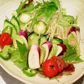 生の茄子と色々野菜サラダ・だし中華ドレッシング☆